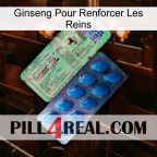 Ginseng For Reinforcing Kidney new02